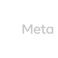 Meta